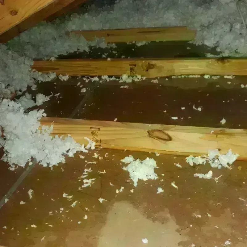 Attic Water Damage in Morrisville, NY