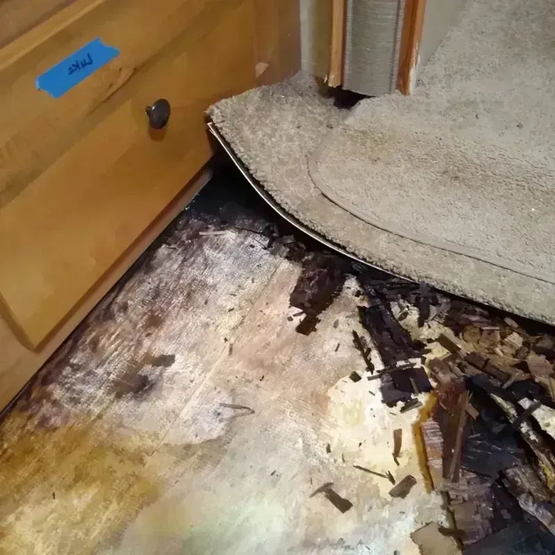 Best Wood Floor Water Damage Service in Morrisville, NY